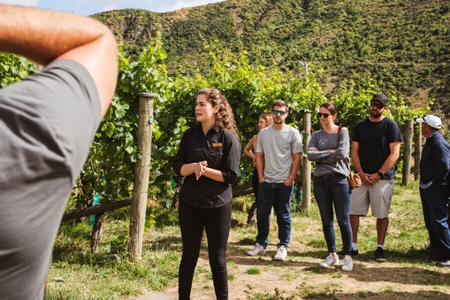 Queenstown: Wine Tasting Tour - Guides, small-group energy, and why names keep coming up