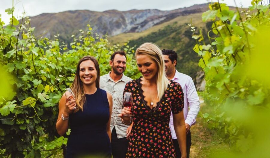 Queenstown: Wine Tasting Tour - Premium transport: Mercedes comfort with WiFi and Spotify