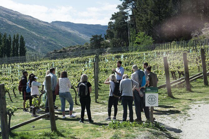 Queenstown Wine Tour - Gibbston Valley Cave | Kinross | Amisfield - Quick highlights