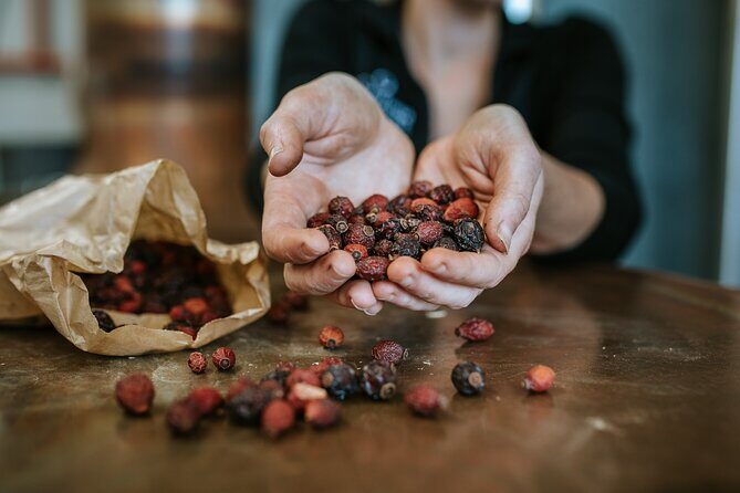 Queenstown's Gin & Spirits Tasting Tour - Cardrona Distillery: gin and tonic, then an actual distillery tour