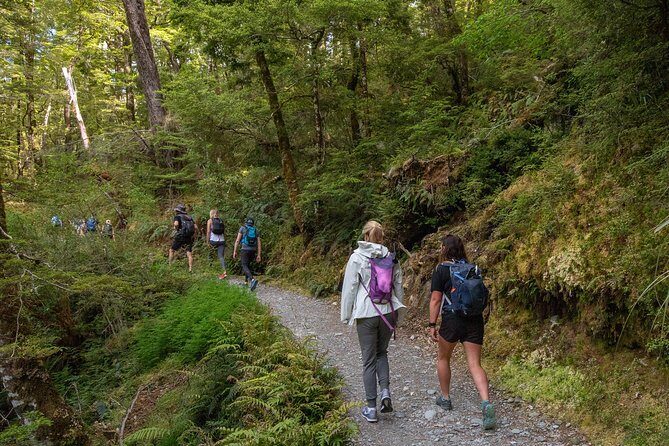 Routeburn Track Guided Hike (Full Day) - Routeburn Track in Mt. Aspiring: the UNESCO setting you can walk