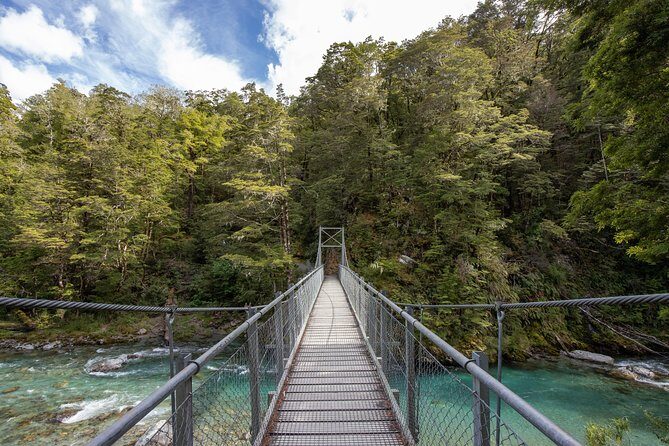 Routeburn Track Guided Hike (Full Day) - Birds, greenstone stories, and what guides notice first