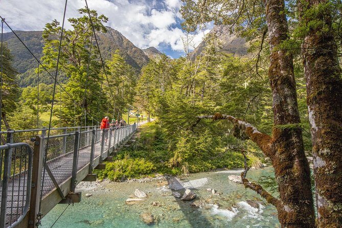 Routeburn Track Guided Walk (Half-Day) - Key highlights to know before you go