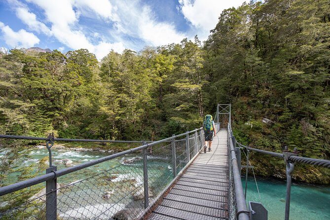 Routeburn Track Guided Walk (Half-Day) - Queenstown pickup and the drive into Mt. Aspiring