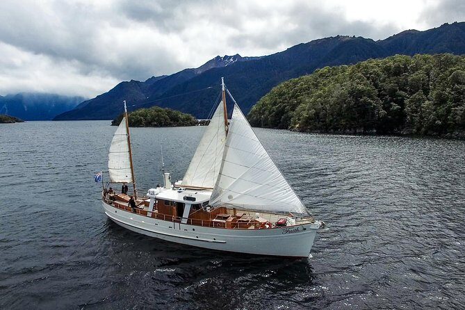 Scenic Cruise & Guided Walk on Historic Motor Yacht Lake Te Anau - Stop in Fiordland National Park (Te Wahipounamu): the guided walk portion