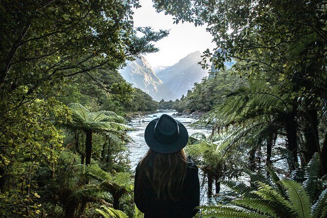 Self-Guided Milford Track Day Walk - Milford Sound - The logistics that can make or break your day