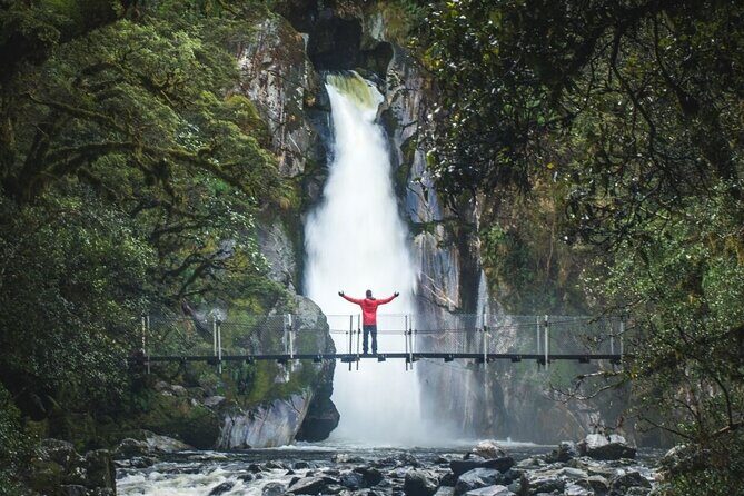 Self-Guided Milford Track Day Walk - Milford Sound - Who this self-guided Milford Track day walk is best for