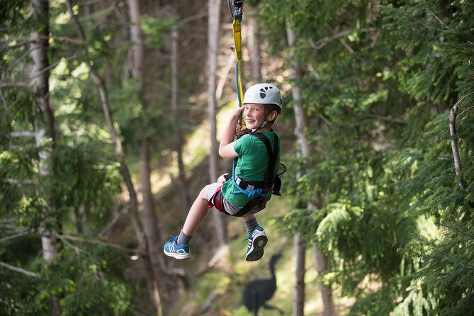 Small-Group Zipline Adventure in Queenstown - Choosing Your Course: Beginners, Families, and the 21m Drop