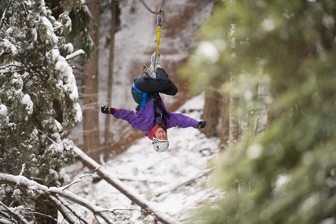 Small-Group Zipline Adventure in Queenstown - Sliding Through Beech Forest: Views Plus a Little Local Learning
