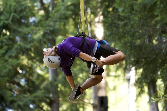 Small-Group Zipline Adventure in Queenstown - Price and Value: How $73.85 Works With the Skyline Cost