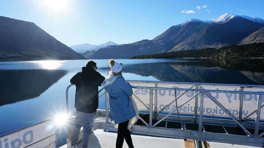 Stevensons Island 2-Hour Cruise and Nature Walk - Why a Stevensons Island cruise works better than shore hopping