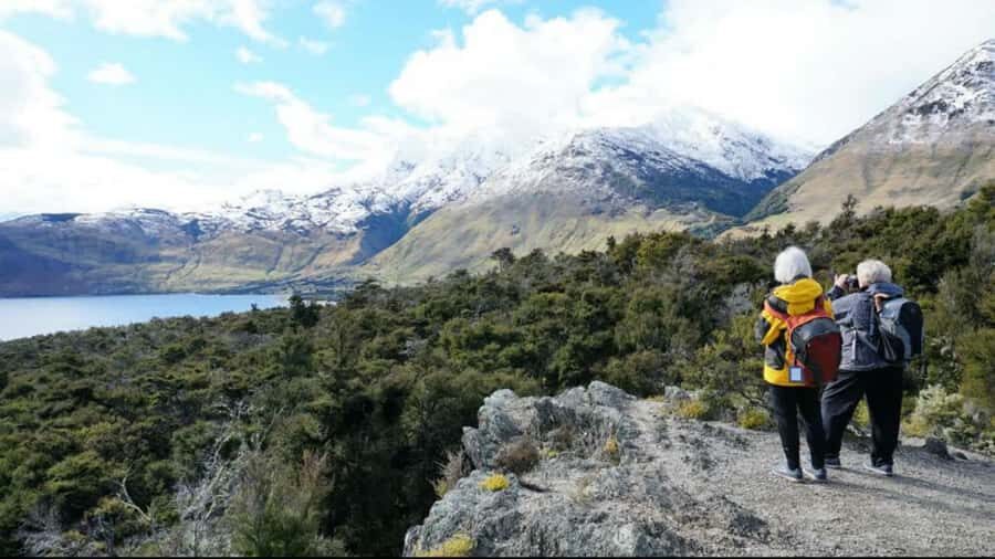 Stevensons Island 2-Hour Cruise and Nature Walk - Stevensons Arm and Mount Burke: the station-country perspective