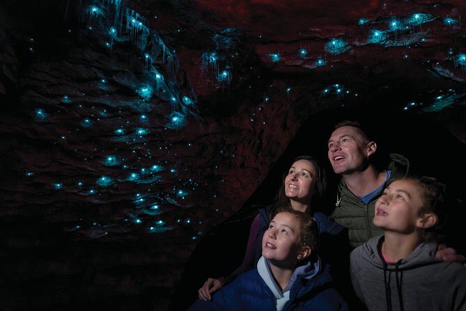 Te Anau Glow Worm Caves Tour - Key things you’ll notice on the tour