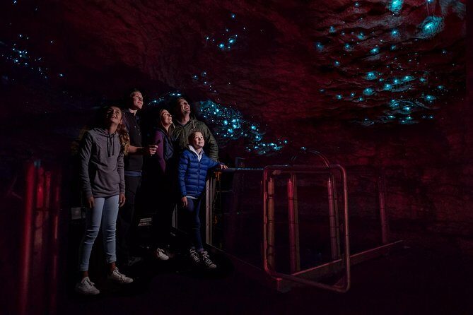 Te Anau Glow Worm Caves Tour - Lake Te Anau cruise to Cavern House: your calm warm-up