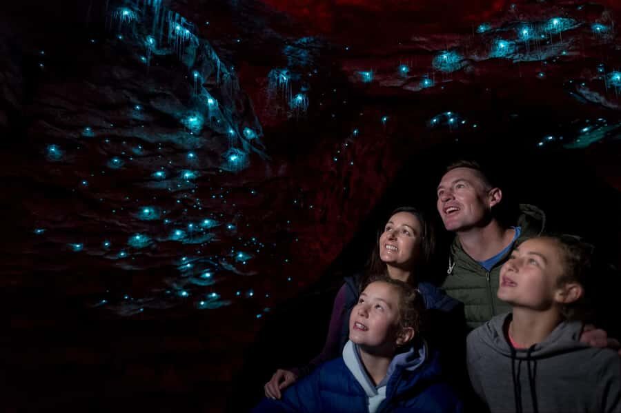 Te Anau: Glowworm Caves Guided Tour - Glowworm grotto by small boat: the moment it turns magical