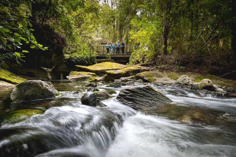 Te Anau: Glowworm Caves Guided Tour - Guide stories, Maori legends, and the 12,000-year cave clock