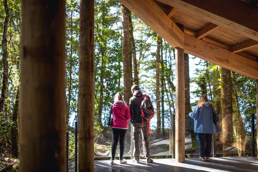 Te Anau: Glowworm Caves Guided Tour - What to do (and not do) to make it easy in the dark
