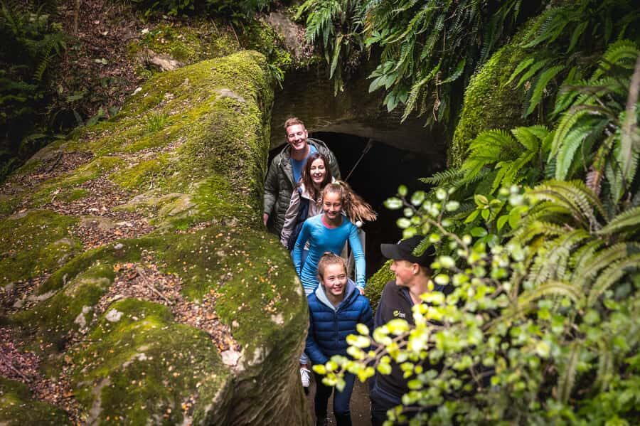 Te Anau: Glowworm Caves Guided Tour - Price and value: is $77 worth 135 minutes of glowworm heaven?