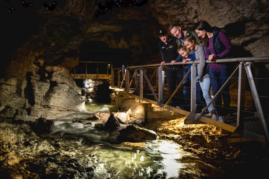 Te Anau: Glowworm Caves Guided Tour - Should you book the Te Anau Glowworm Caves guided tour?