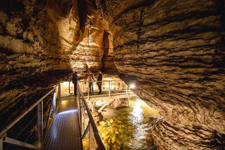 Te Anau: Glowworm Caves Guided Tour - The cave entrance walk: limestone, low ceilings, and roaring water