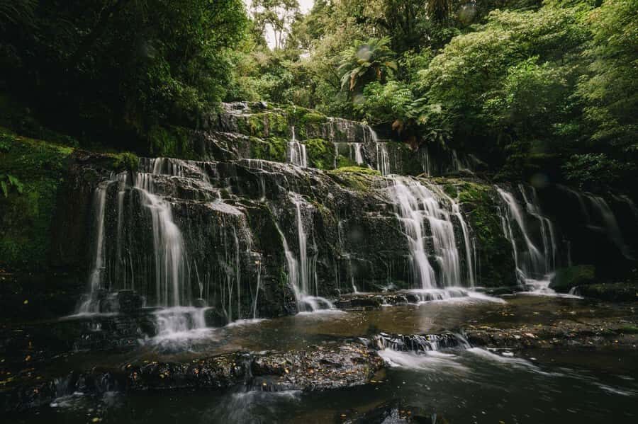 Te Anau to Dunedin via the Catlins & Invercargill 1 Way Tour - Key things worth your attention