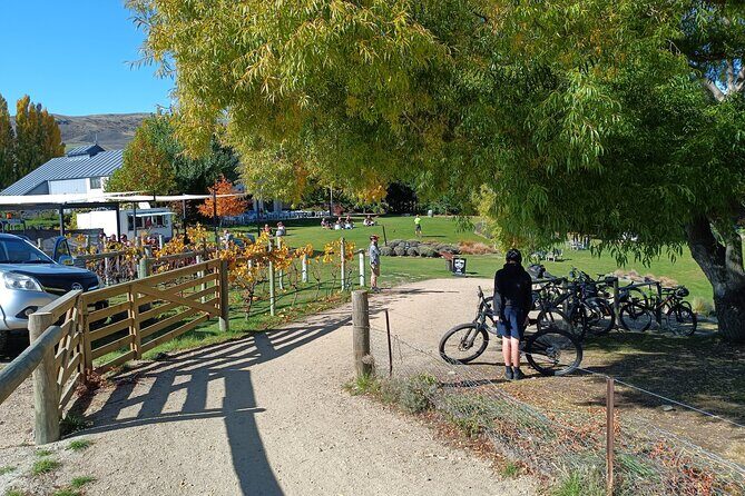 The Ultimate Lake Dunstan Bike Hire And Boat Experience - Key Things That Make This Tour Worth Your Time