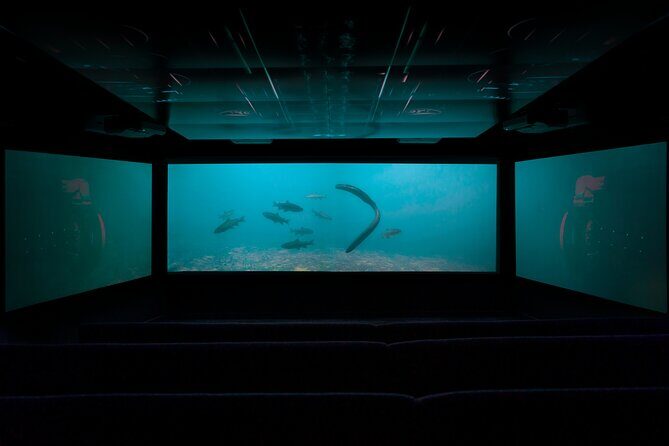 Time Tripper Queenstown - Time Tripper at Main Town Pier: what you’re really buying