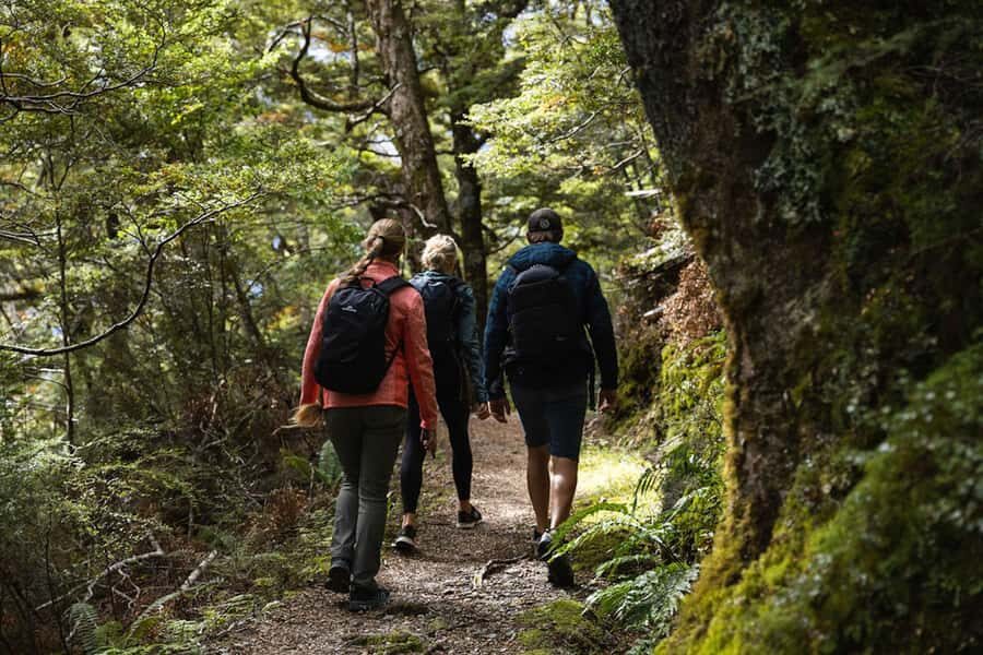 Wānaka: Heli Siberia - Helicopter Flight, Hike & Jet Boat - The 15-minute helicopter flight over Wilkin, Makarora, and Mount Aspiring