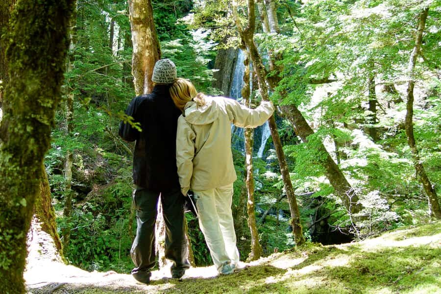 Wanaka: Jet Boat & Wilderness Walk - Wanaka jet boat meets Mount Aspiring in one 4-hour run