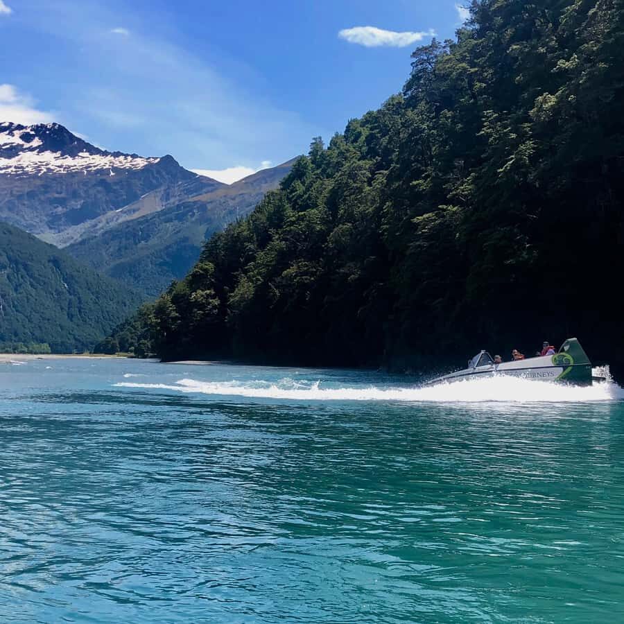 Wanaka: Jet Boat & Wilderness Walk - Is it worth $202: a practical value check
