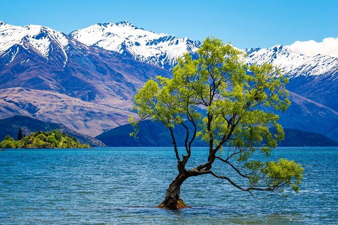 Wanaka Private Day Trip from Queenstown: TravelnGo - Private Queenstown to Wanaka: What You’re Actually Booking