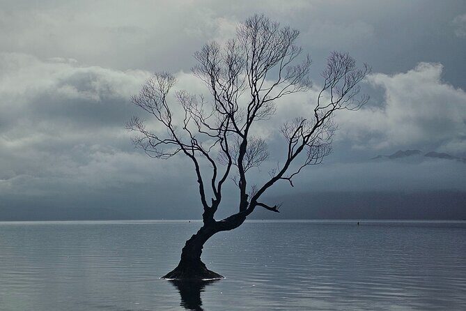 Wanaka Private Day Trip from Queenstown: TravelnGo - Optional Gibbston Valley Winery: Add Wine Without Losing the Plot