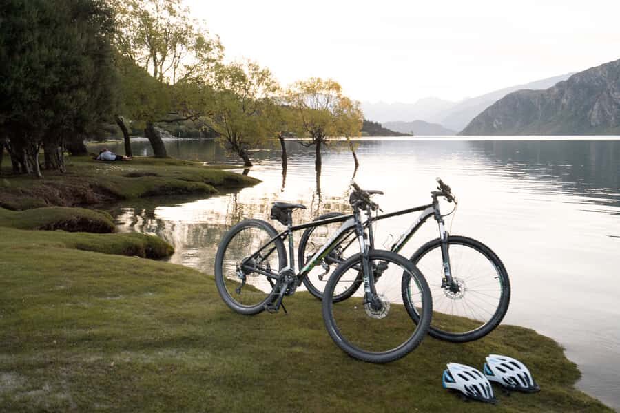 Wanaka: Self-Guided Regular MTB - Lake Hawea to Lake Wanaka - The swing bridge and Wanaka Tree finish: the best photo payoff