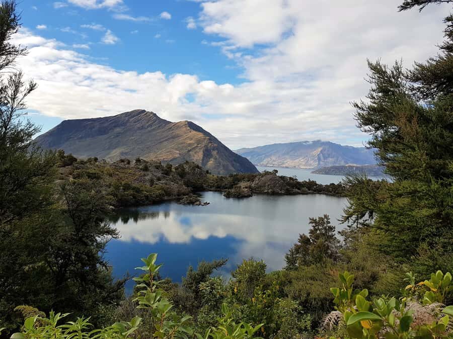 Wanaka: Water Taxi & Mou Waho Island Tour - Should you book this Mou Waho water taxi tour?