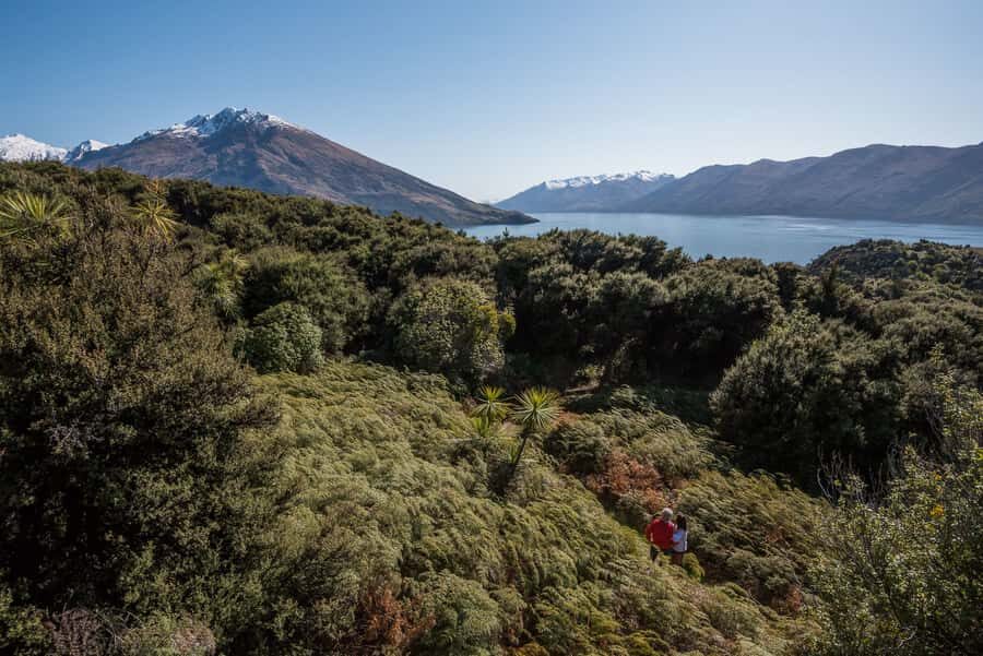 Wanaka Water Taxi Mou Waho Island Tour - The real attraction: the Arethusa Pool viewpoint hike