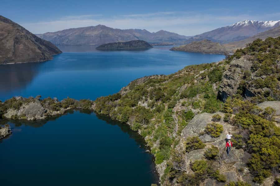 Wanaka Water Taxi Mou Waho Island Tour - Wildlife watching on Mou Waho: weka, gecko, and that quiet reserve feel