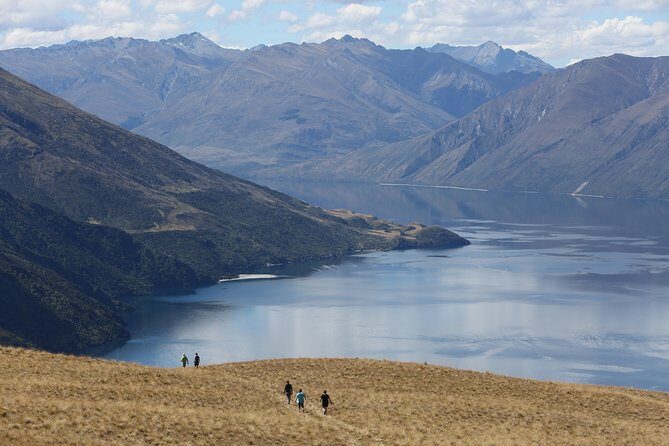 Wild Hills Off Road Safari - West Wānaka Station: why the farm gate is the star