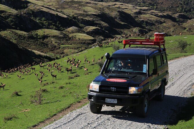 Wild Hills Off Road Safari - Price and value: is $204.79 worth it?