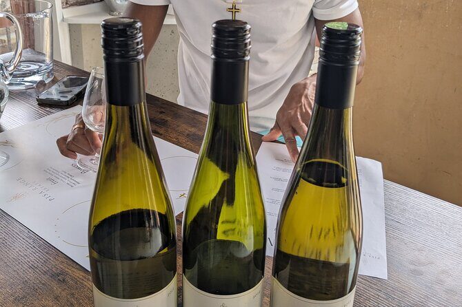 Wine Tasting Adventure Wanaka and Beyond - Stop in Wānaka: scenic breaks before the wine loop