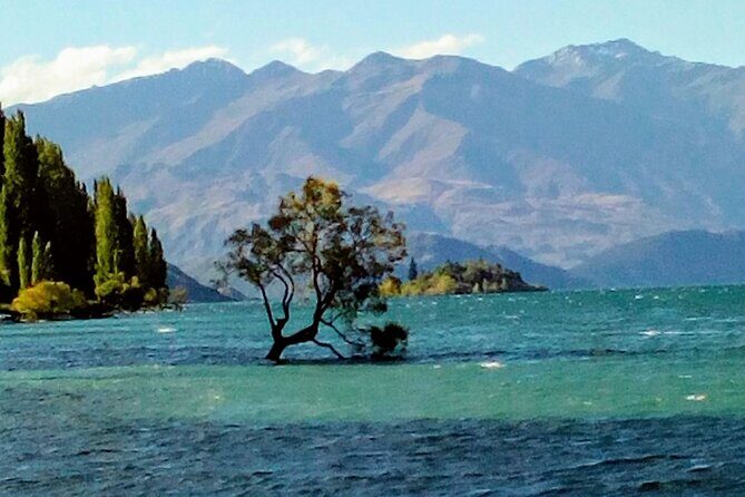 Wine Tasting Adventure Wanaka and Beyond - Wānaka start: the 10:30 meet-up that keeps things simple
