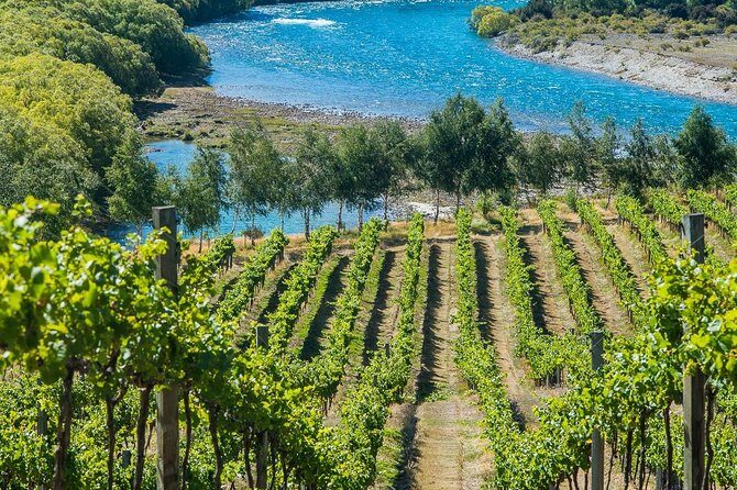 Wine Tour with Wine Tasting from Wanaka - What you’re tasting (and how to get more out of each pour)