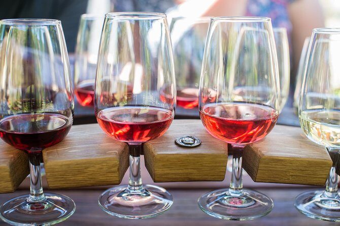 Wine Tour with Wine Tasting from Wanaka - Value check: is $184.31 per person worth it?