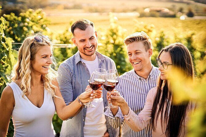 Wines and Views Private Wine Tour of Otago from Queenstown - A private Central Otago day that starts with real questions