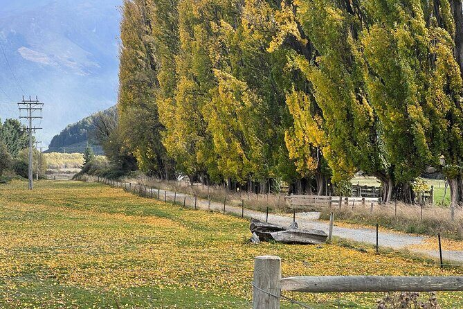 Wines and Views Private Wine Tour of Otago from Queenstown - The vineyard lunch that makes the whole day feel complete