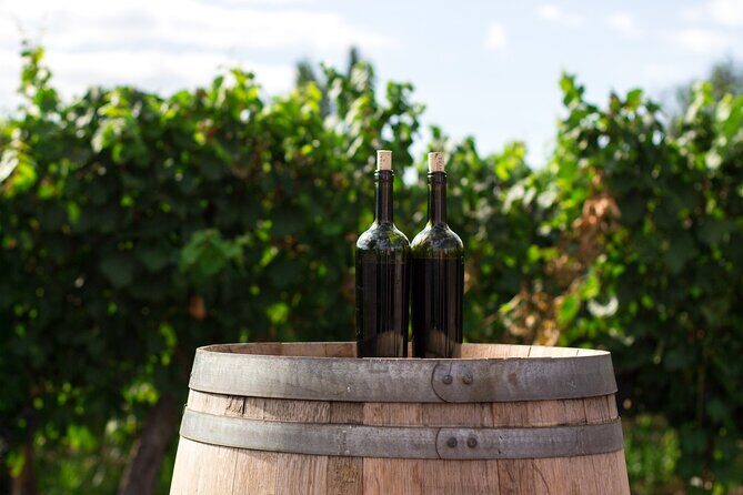 Wines and Views Private Wine Tour of Otago from Queenstown - Price and value: what you’re actually paying for
